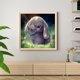thumbnail image 4 of Cuadros Decorativos Serie animal diamante cuadrado resina diamante E500 DQrwqpou Nuevos Originales, 4 of 8