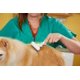 thumbnail image 4 of Cepillo para perros Andis 65735 flexible de una hilera para perros pequeños y medianos, 4 of 4