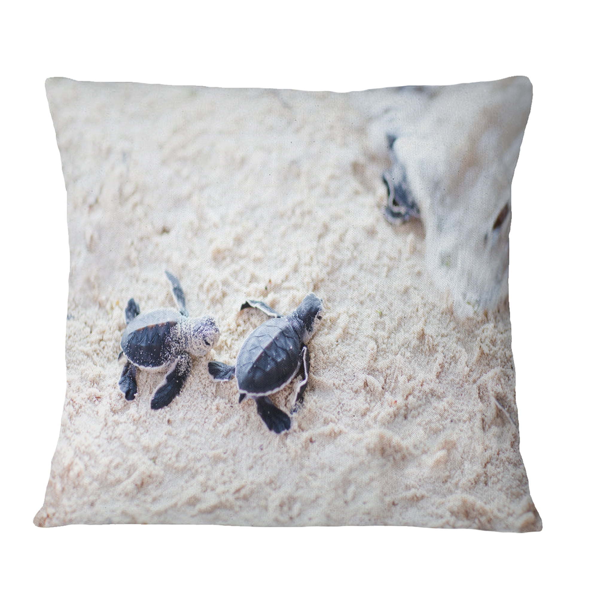 Designart Baby Green Turtles on Sand - Animal Throw Pillow - 18x18