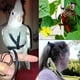 thumbnail image 3 of Greeniant Arnés y correa para loros hechos de nailon M, regalo para volar fácilmente, arnés y correa para pájaros y loros para mascotas Aseo de mascotas, 3 of 6