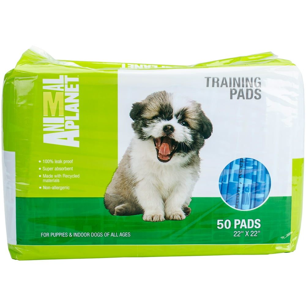 Animal Pet Training Pads 50ct, Assorted Green or Blue Walmart