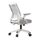 thumbnail image 1 of Silla de Oficina Ergonómica para Adultos con Soporte Lumbar y Brazos Abatibles para Hogar y Oficina Gris, 1 of 8