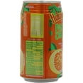 thumbnail image 3 of Hawaiian Sun Juice, Orange Passion, 11.5 Fl Oz (Pack Of 24), 3 of 3