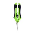 thumbnail image 4 of Plant Pruning Flower , Gardening , Fit for Pruning Plant, 4 of 8