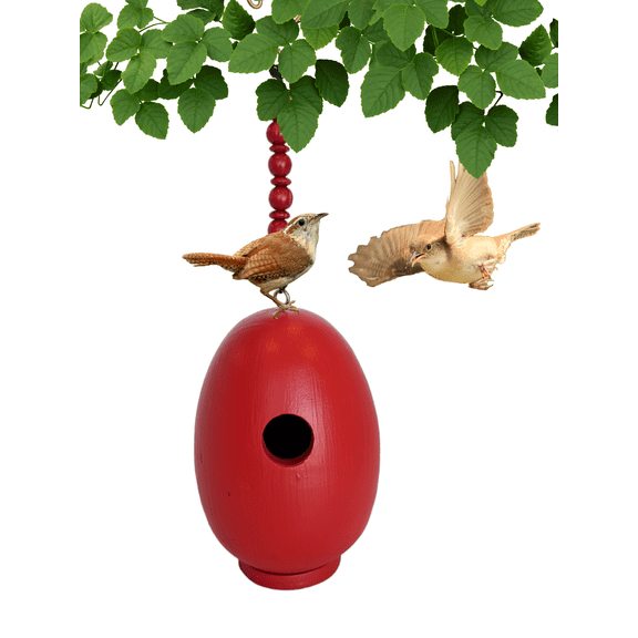Fresh Look at Songbird Essentials Wooden Bird House Green Wren House For Outside