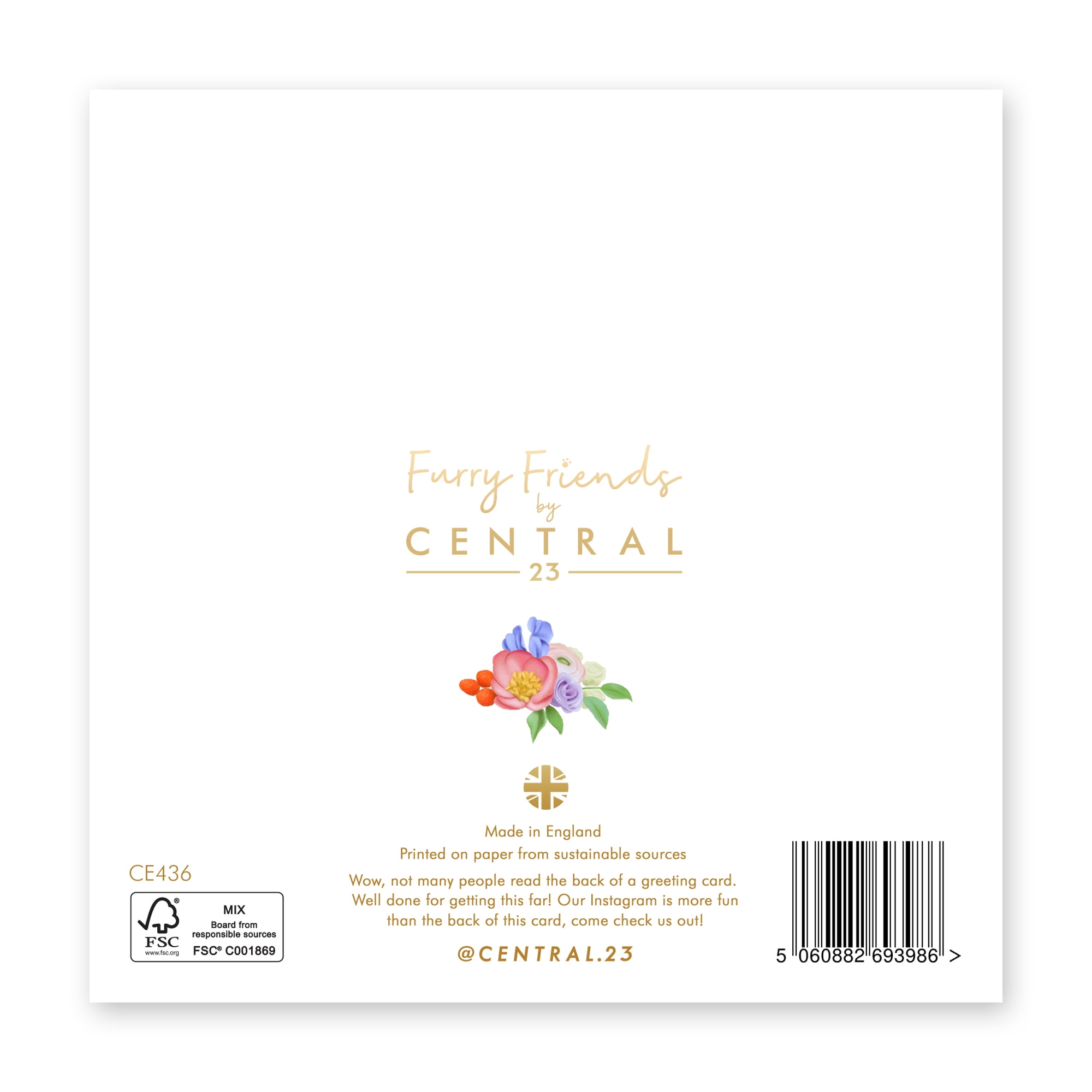 Central 23 Cute Birthday Cards For Her Hedge Hugs On Your Birthday central-23-cute-birthday-cards-for-her-hedge-hugs-on-your-birthday