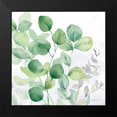 thumbnail image 2 of Coulter, Cynthia 12x12 Black Modern Framed Museum Art Print Titled - Eucalyptus Leaves II, 2 of 5