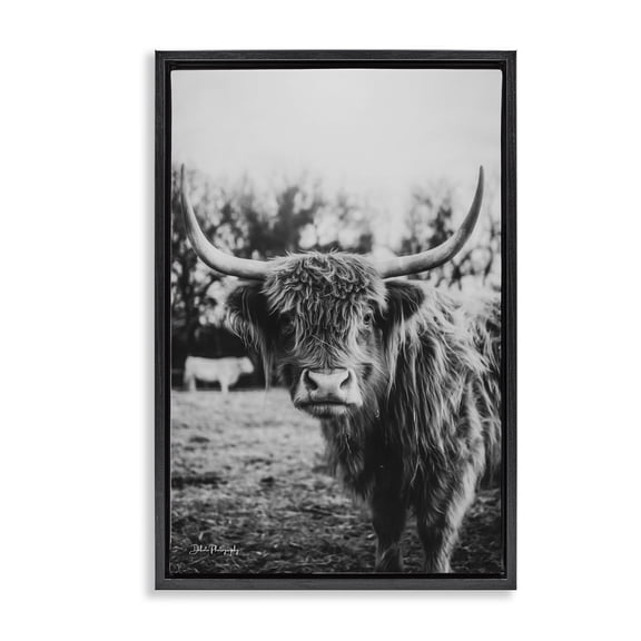 Stupell Industries Peering Highland Cattle Black Framed Floater Canvas Wall Art, design by Dakota Diener