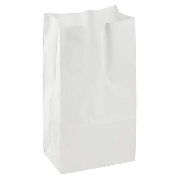 lbs sturdy reusable white 000 4 lbs paper lunch bags 4 lbs paper lunch bags