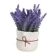 thumbnail image 3 of Maceta de flores BLESIY Bonsái en maceta de lavanda para oficina de Cocina de hotel Estilo A, 3 of 8