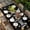 Black, variant on Black Graduation Table Cloths for 5 Foot Rectangle Tables, Stars Modern Art Patio Waterproof Elastic Fitted Tablecloths, Washable Rectangular Table Cover for Camping