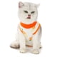 thumbnail image 5 of 2 ropa de destete anti lamido para mascotas, ropa de rehabilitación postoperatoria para gatos919, 5 of 5