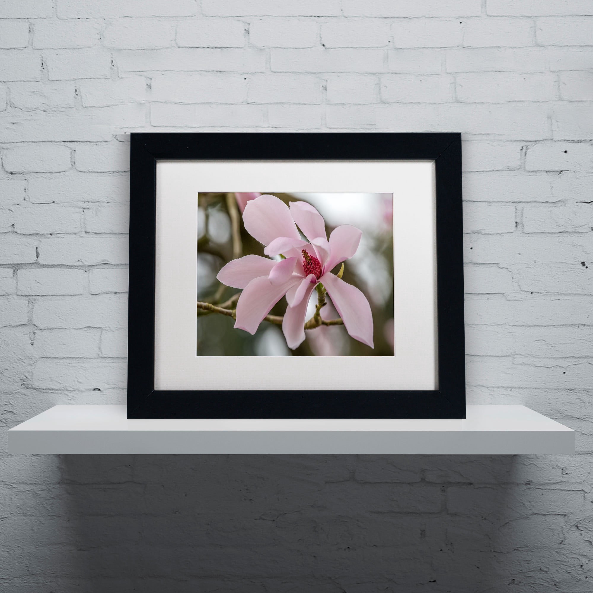 Trademark Fine Art "Magnolia" Canvas Art by Pierre Leclerc, White Matte/Black Frame