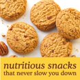 thumbnail image 4 of Almond Flour Crunchy Cookies, Chocolate Chip - Gluten Free, Vegan, Healthy Snacks, Made with Organic Coconut Oil, 5.5 Ounce (Pack of 1), 4 of 5