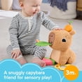 thumbnail image 2 of Juguete sensorial Fisher-Price Snuggly Snacky Capibara para más de 3 meses, 2 of 6