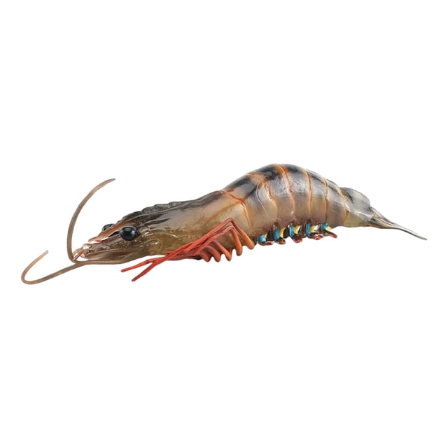 TISHITA Marine Animal Model Educational Learning Toy Shrimp Action Figure Toys Cognitive Black 103g