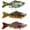 Color-B, variant on Jointed Propeller Tail Swimming Lure for Bass Pike Walleye Freshwater SaltwaterColor-A