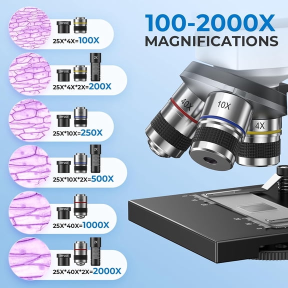 Compound Microscope for Kids & Adults, 100X-2000X Magnification Microscope for Students, School Lab & Home Education, with Phone Adapter, 20 Slides Set