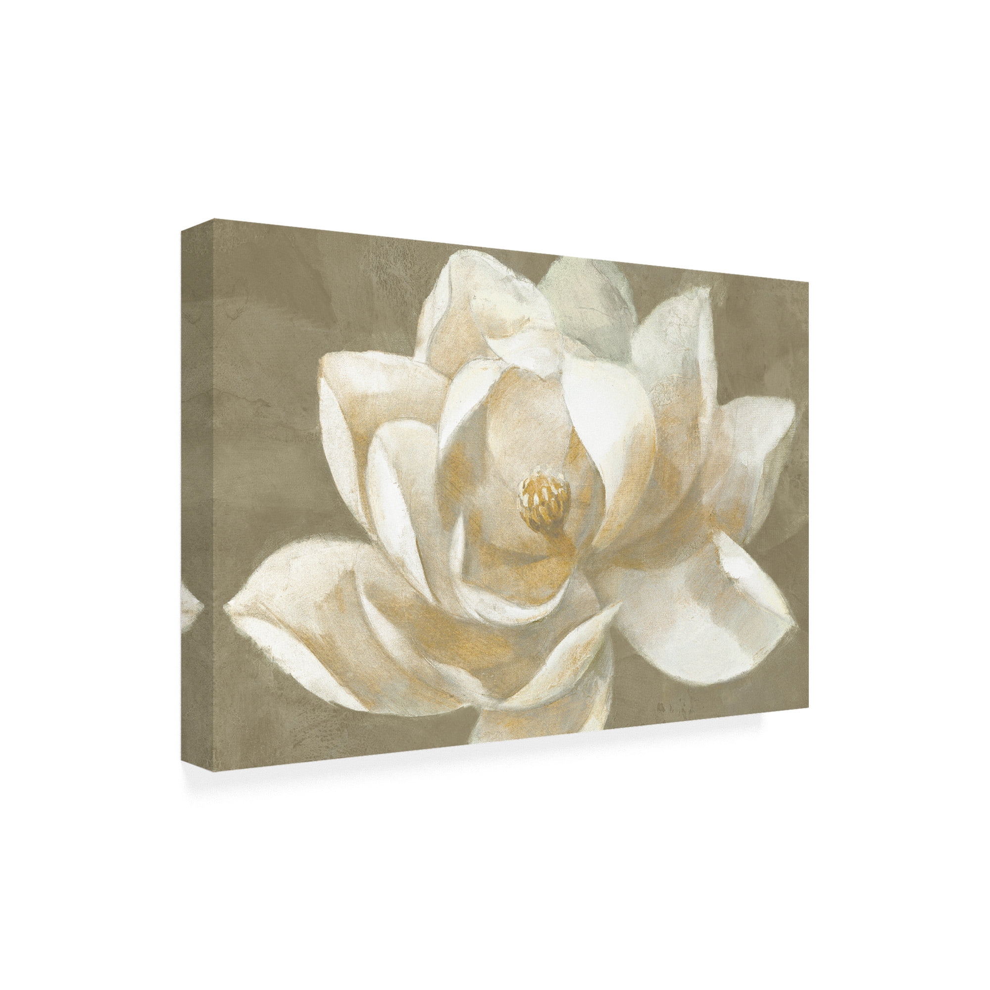 Trademark Fine Art 'Majestic Beige' Canvas Art by Albena Hristova