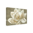 thumbnail image 2 of Trademark Fine Art 'Majestic Beige' Canvas Art by Albena Hristova, 2 of 3