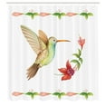 thumbnail image 3 of Ambesonne Nature Shower Curtain, Hummingbird Art, 69"Wx75"L, Red and Green, 3 of 5