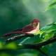 thumbnail image 3 of Style Simulated Ornaments Outdoor Gardening Decoration, 3 of 6