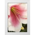 thumbnail image 3 of Maureen Love 13x18 White Modern Wood Framed Wall Art Titled - Soft Pink Lily II, 3 of 5