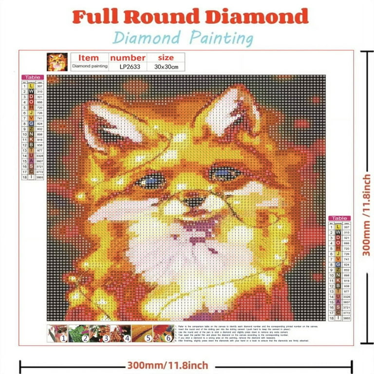 IFEE 5D Diamond Painting Kits(11.8 x 11.8 inch) Diamond Art Painting by  Number for Adults and Kids Diamond Painting Aanimal for Home Decor (Fox) 