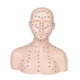 thumbnail image 1 of Cabeza de maniquí con de acupresión, compacta, y realista, modelo de cabeza de entrenamiento profesional para facial de spa., 1 of 9
