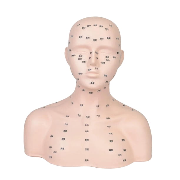 Cabeza de maniquí con de acupresión, compacta, y realista, modelo de cabeza de entrenamiento profesional para facial de spa.
