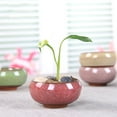 Plant Pot With Drainage, Small Ceramic Succulent Pot With Hole Mini