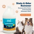 thumbnail image 4 of Kinzua Environmental Urine B-Gone Enzyme Cleaner, Citrus Scent, 1 Gallon – Pet Stain & Odor Remover, 4 of 10
