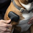 thumbnail image 3 of Slicker Brush Tweezerman para perros y gatos para mascotas pequeñas, 3 of 9