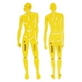 thumbnail image 1 of Traceease Male Human Figure Template Stencils Fashion Designers Drafting Tools, 2 Piece ( Front & Back), 1 of 4
