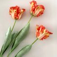thumbnail image 4 of Flor artificial hidratante de tacto real, tulipán loro 3D, flor de seda única, decoración para el hogar, bonsái, arreglo floral, ramo de flores falsas, 4 of 6