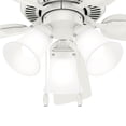 thumbnail image 4 of Ventilador de techo Hunter Swanson, 112 cm, LED, 5 aspas, blanco, 4 of 7