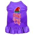 thumbnail image 5 of Christmas Pet Dog  Cat Dress Screen Printed, "Big Elf", 5 of 11