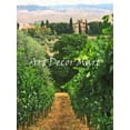 thumbnail image 1 of Tuscan Vinyard - CANVAS OR WALL ART PRINT, 1 of 1
