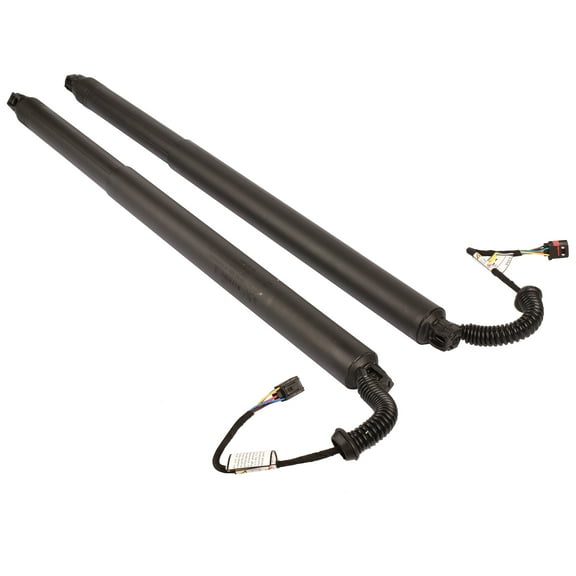 NEWZQ Rear Power Lift Cylinder Strut Support for Nissan Murano Sport Utility 2015-2021 2Pcs