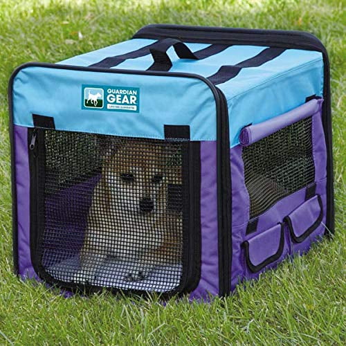 Collapsible Dog Crate Portable Pet Travel Colorful Mesh Panel Window