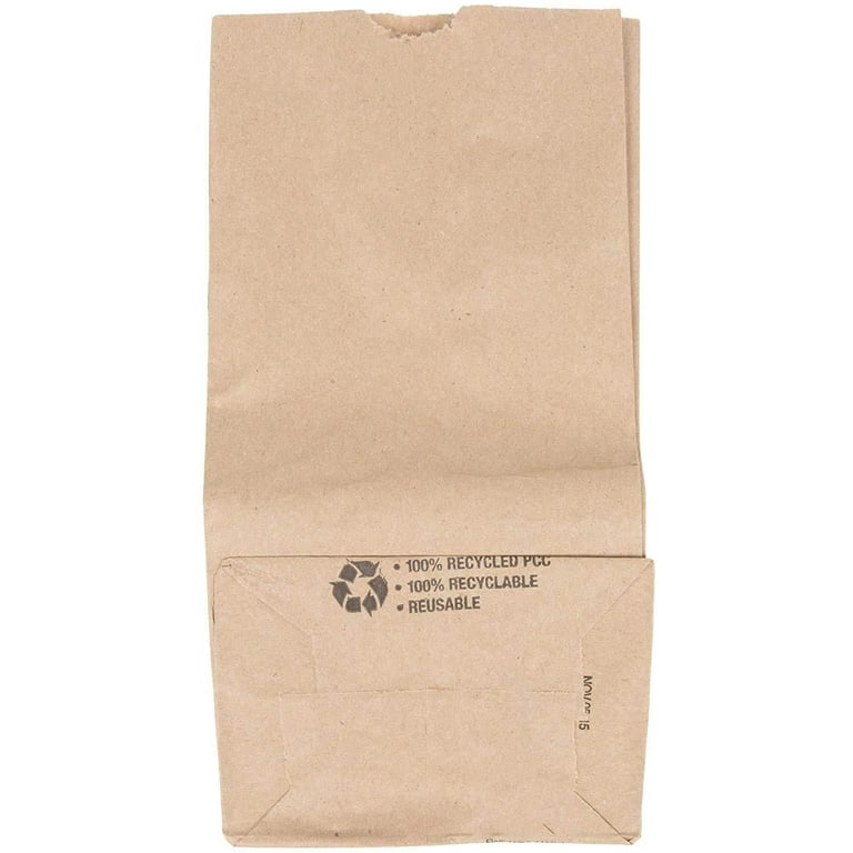Perfect Stix Paper Lunch Bags 500 Pcs White Paper Bags Snack Bags Kraft Grocery Bags Paper Sacks Bags Bulk(4 lb, 5.1 x 3.2 x 9.8 inch)