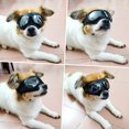 thumbnail image 3 of Gafas para Perro NAMSAN Raza Pequeña Hocico Ancho Lentes Plateadas Anti-UV, 3 of 7