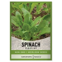 Viroflay Spinach Seeds