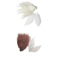 thumbnail image 1 of 200 Pieces Natural Magnolia Skeleton Leaf Scrapbooking White, 1 of 5