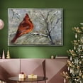 thumbnail image 6 of Cardinal in Snow II - Framed Gallery Wrapped Holiday Canvas - 25 x 37 - Silver Frame, 6 of 8