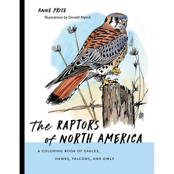 Download Barbara Guth Worlds Of Wonder Science Series For Young Reade The Raptors Of North America A Coloring Book Of Eagles Hawks Falcons And Owls Paperback Walmart Com Walmart Com