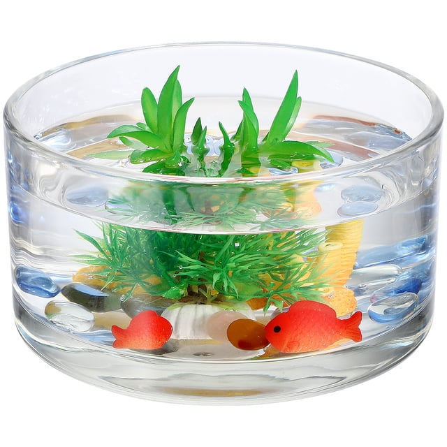 Vidrillo Clear Terrario Hidroponía Hidroponia Fabricatorio de vidrio decorativo Acuario redondo