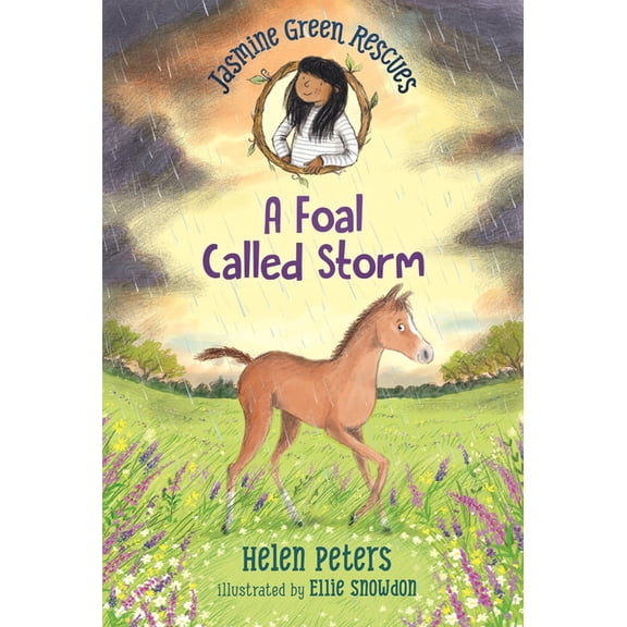 Jasmine Green Jasmine Green Rescues: A Foal Called Storm, (Paperback)