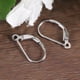 thumbnail image 4 of 8 pendientes de plata en forma de D, elegantes ganchos para las orejas, delicados accesorios para colgar las orejas, joyería para mujeres y niñas (plata), 4 of 6