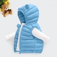 thumbnail image 2 of Xyant Baby Boys Girls Hooded Puffer Vest Toddler Winter Lightweight Sleeveless Bear Ears Zipper Up Jacket (Light Blue,12-18 Months), 2 of 4